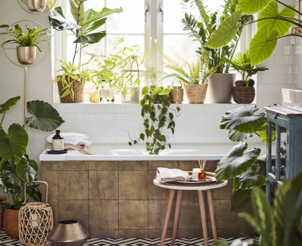 Biophilic Interior Design: Bringing Nature into Your Home