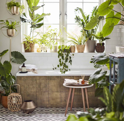 Biophilic Interior Design: Bringing Nature into Your Home