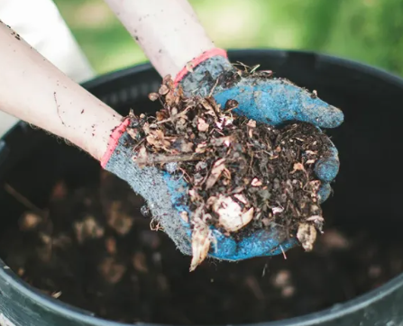 A Simple 5-Step Guide to Start Composting