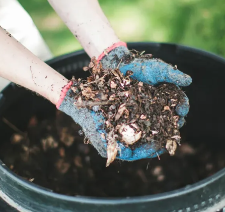 A Simple 5-Step Guide to Start Composting
