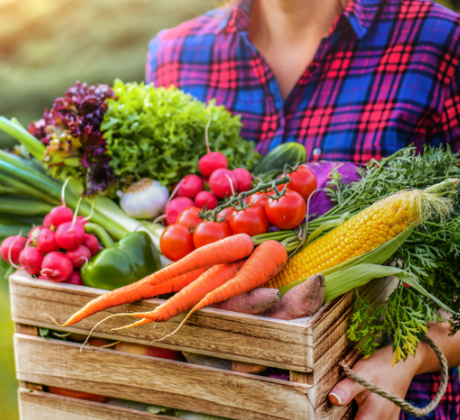 8 Best Vegetables to Eat Raw for Health Benefits