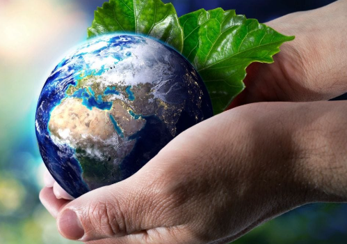 Embracing Sustainable Nutrition for a Healthier Planet and Future
