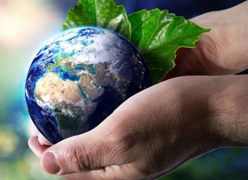 Embracing Sustainable Nutrition for a Healthier Planet and Future