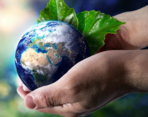 Embracing Sustainable Nutrition for a Healthier Planet and Future