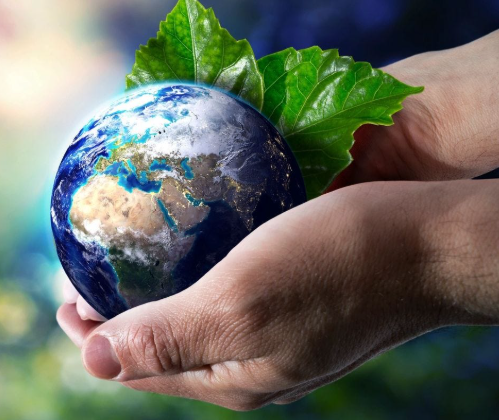 Embracing Sustainable Nutrition for a Healthier Planet and Future