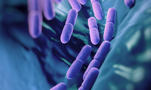 Understanding Probiotics and Prebiotics for Better Gut Health