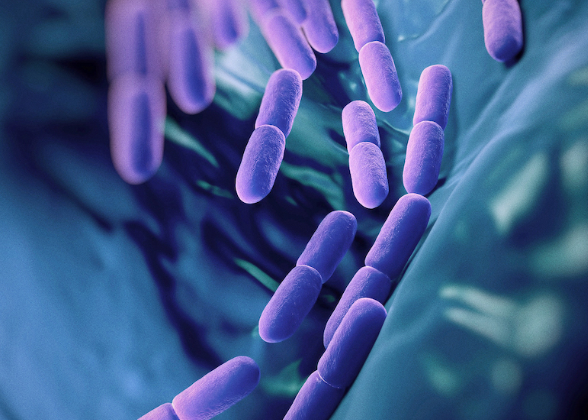 Understanding Probiotics and Prebiotics for Better Gut Health