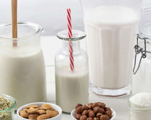 Dairy vs. Plant-Based Milks: Which Is the Best Choice for You?